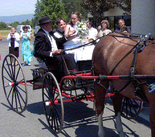Tom and Catherine in Amish carriage after wedding